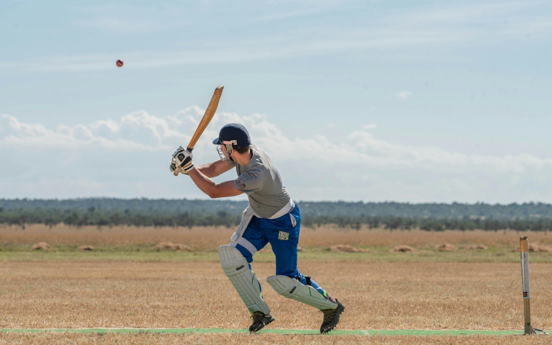 cricket online betting odds​